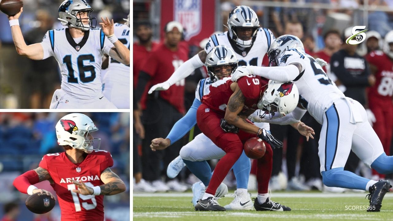 Carolina Panthers vs Arizona Cardinals Match Player Stats: Complete Statistical Breakdown
