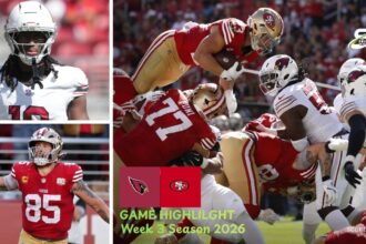 Arizona Cardinals vs San Francisco 49ers Match Player Stats