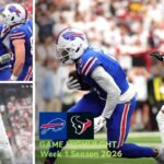 Buffalo Bills vs Houston Texans Match Player Stats