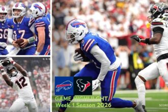 Buffalo Bills vs Houston Texans Match Player Stats