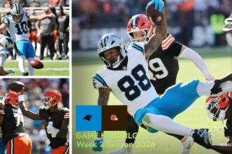 Carolina Panthers vs Cleveland Browns Match Player Stats