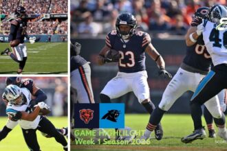 Chicago Bears vs Carolina Panthers Match Player Stats