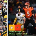 Cincinnati Bengals vs Pittsburgh Steelers Match Player Stats