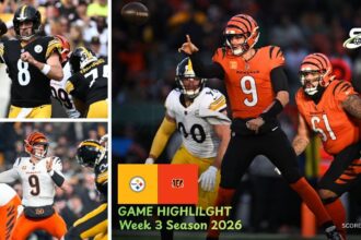 Cincinnati Bengals vs Pittsburgh Steelers Match Player Stats