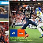 Los Angeles Rams vs Denver Broncos Match Player Stats