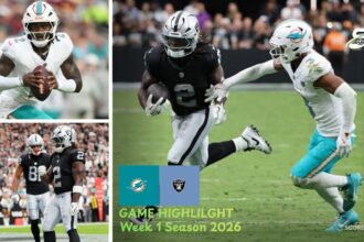Miami Dolphins vs Las Vegas Raiders Match Player Stats