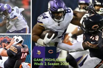 Minnesota Vikings vs Chicago Bears Match Player Stats