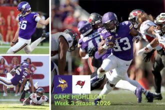 Minnesota Vikings vs Tampa Bay Buccaneers Match Player Stats