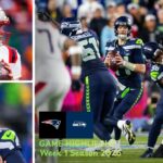New England Patriots vs Seahawks Match Player Stats