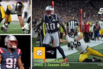 Pittsburgh Steelers vs New England Patriots Match Player Stats