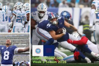 Tennessee Titans vs New York Giants Match Player Stats