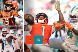 Cincinnati Bengals vs Miami Dolphins Match Player Stats