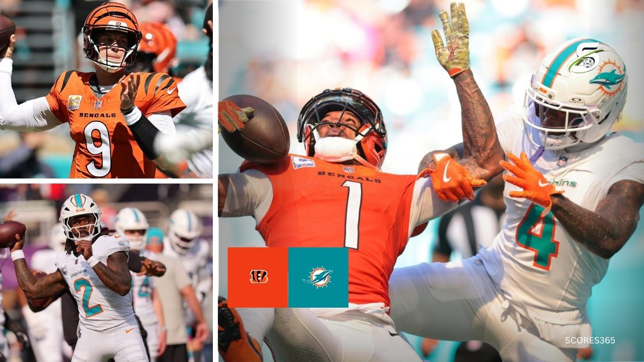 Cincinnati Bengals vs Miami Dolphins Match Player Stats