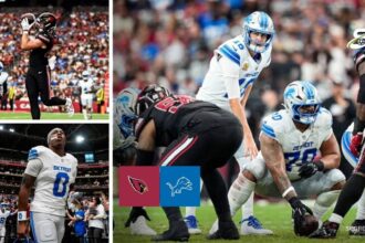Detroit Lions vs Arizona Cardinals Match Player Stats